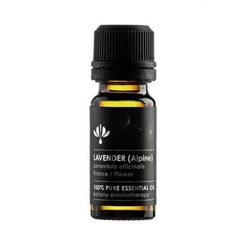 Essential Oil - Lavender French - Alpine Oil (Lavandula Officinalis)